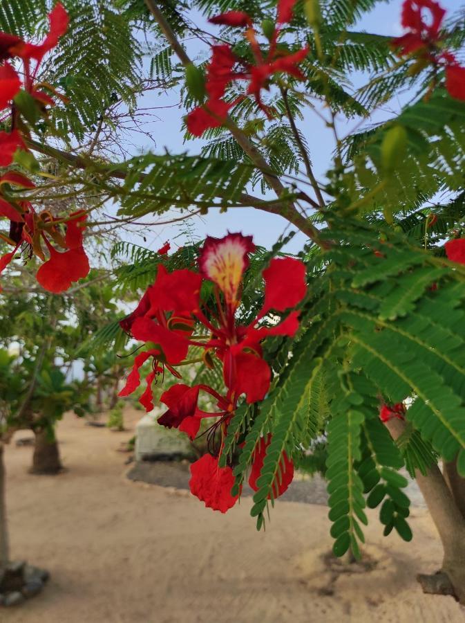 فيلا Beach House Agua Viva, Praia De Chaves, Boa Vista, Sal Rei, Cape Vert, 50Mt Spiaggia Rabil المظهر الخارجي الصورة