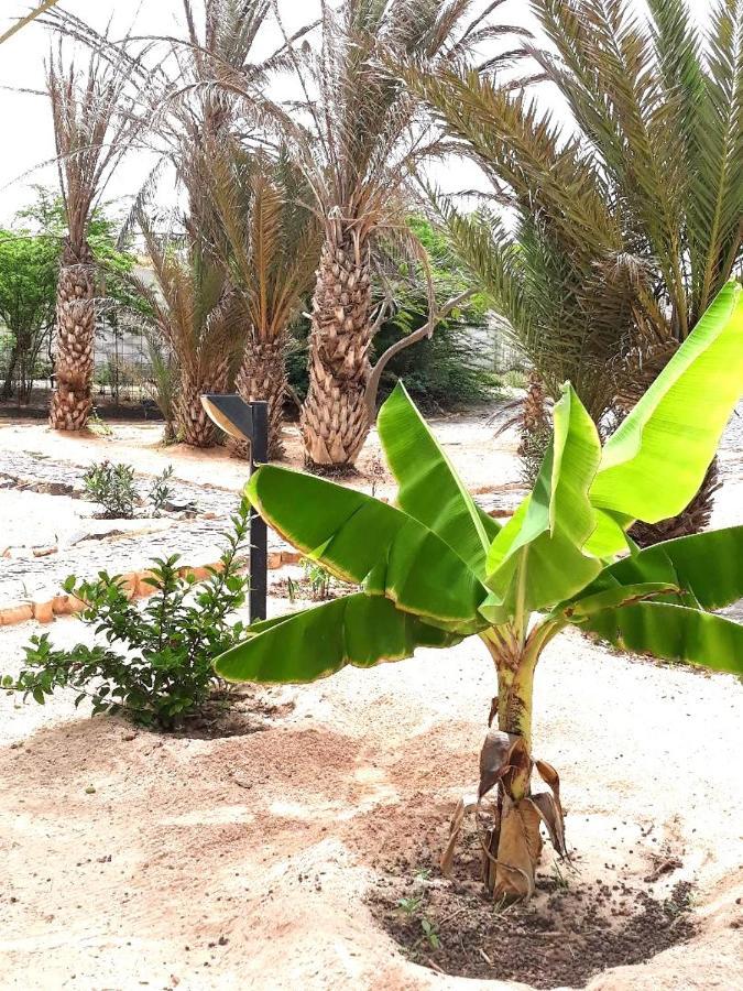 فيلا Beach House Agua Viva, Praia De Chaves, Boa Vista, Sal Rei, Cape Vert, 50Mt Spiaggia Rabil المظهر الخارجي الصورة